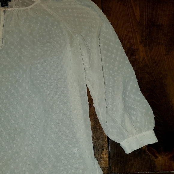 J. Crew Small Balloon Sleeve Sheer Textured Cream Long Sleeve Top - Picture 6 of 11